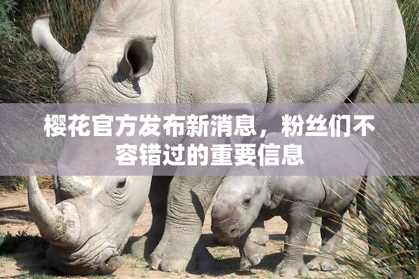 樱花官方发布新消息，粉丝们不容错过的重要信息
