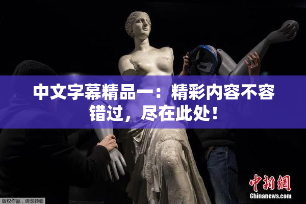 中文字幕精品一：精彩内容不容错过，尽在此处！