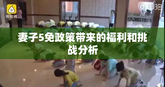 妻子5免政策带来的福利和挑战分析