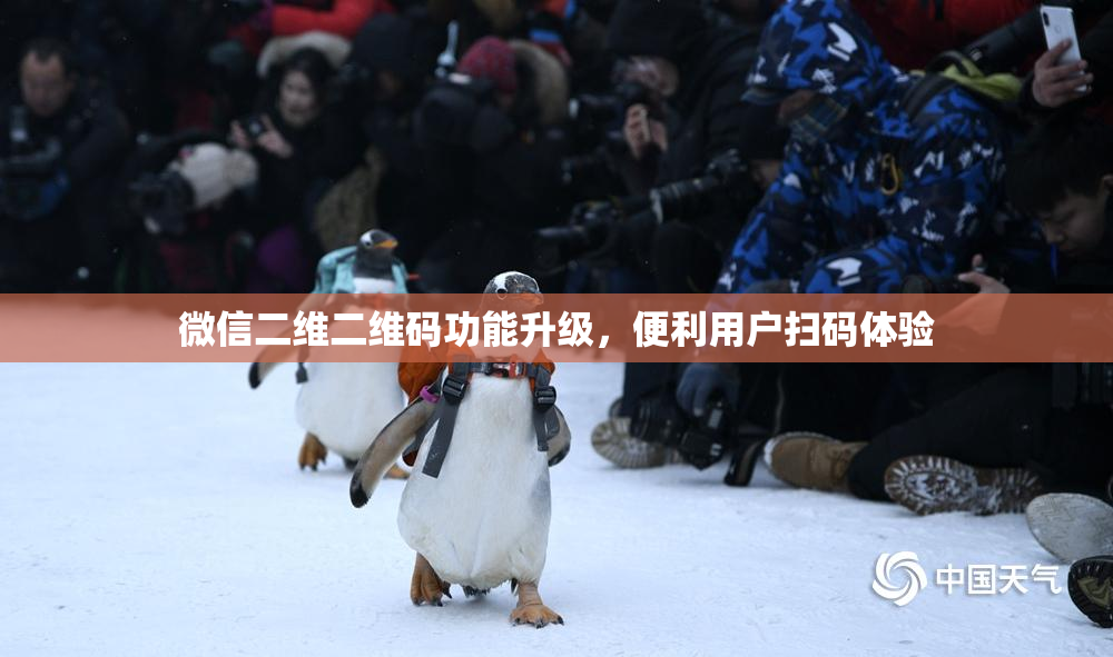 微信二维二维码功能升级，便利用户扫码体验