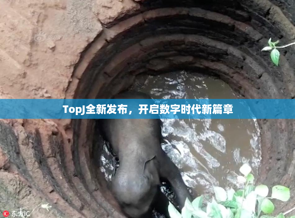TopJ全新发布，开启数字时代新篇章