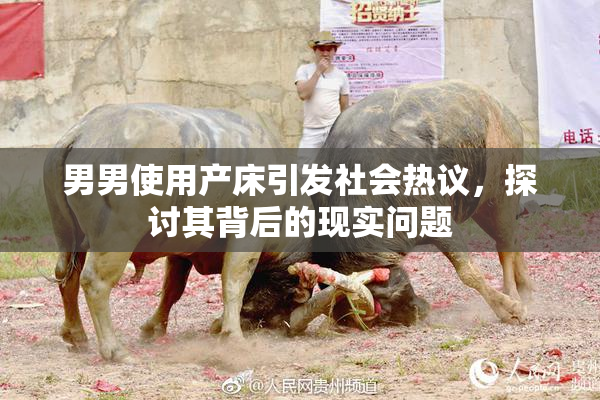 男男使用产床引发社会热议，探讨其背后的现实问题