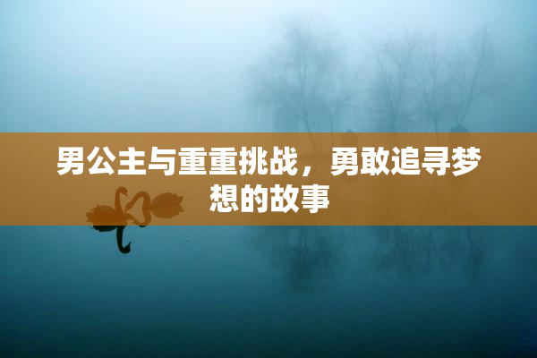 男公主与重重挑战，勇敢追寻梦想的故事
