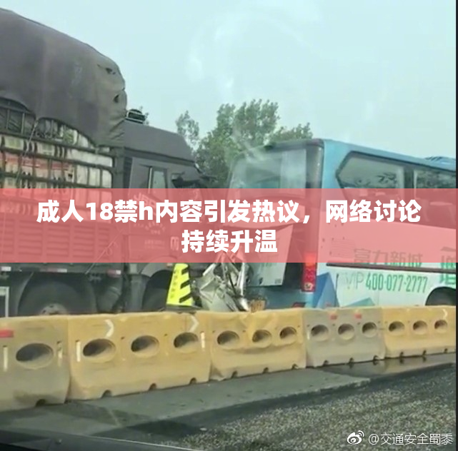成人18禁h内容引发热议，网络讨论持续升温