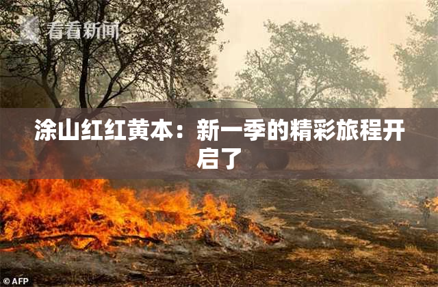 涂山红红黄本：新一季的精彩旅程开启了