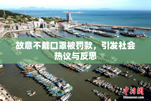 故意不戴口罩被罚款，引发社会热议与反思