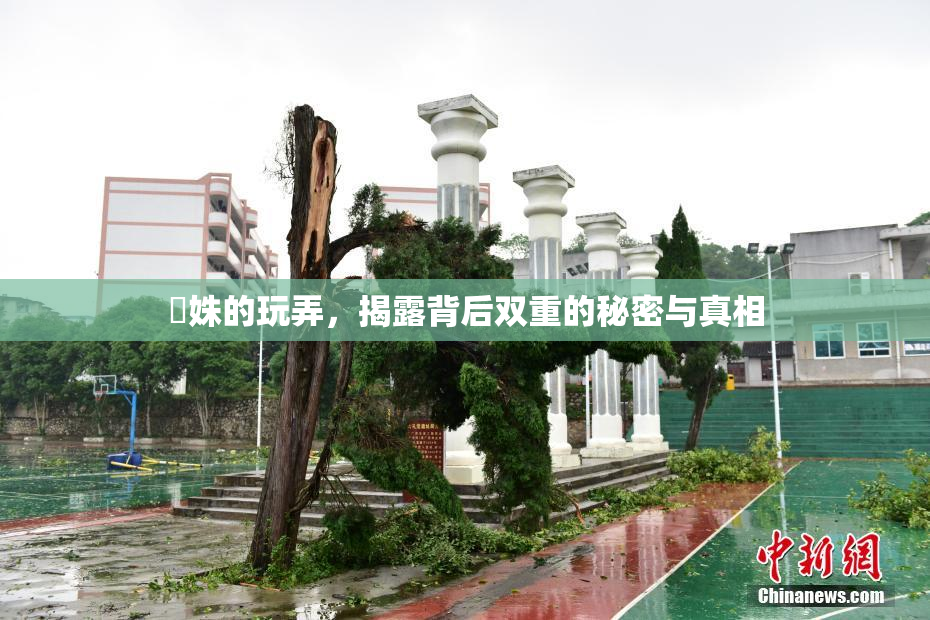 妺姝的玩弄，揭露背后双重的秘密与真相