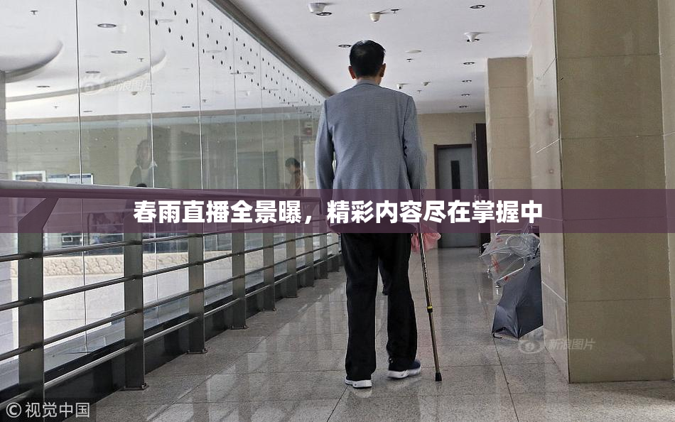 春雨直播全景曝，精彩内容尽在掌握中