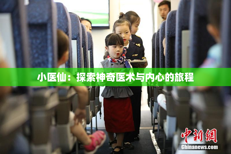 小医仙：探索神奇医术与内心的旅程