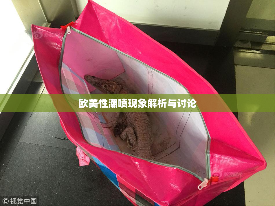 欧美性潮喷现象解析与讨论