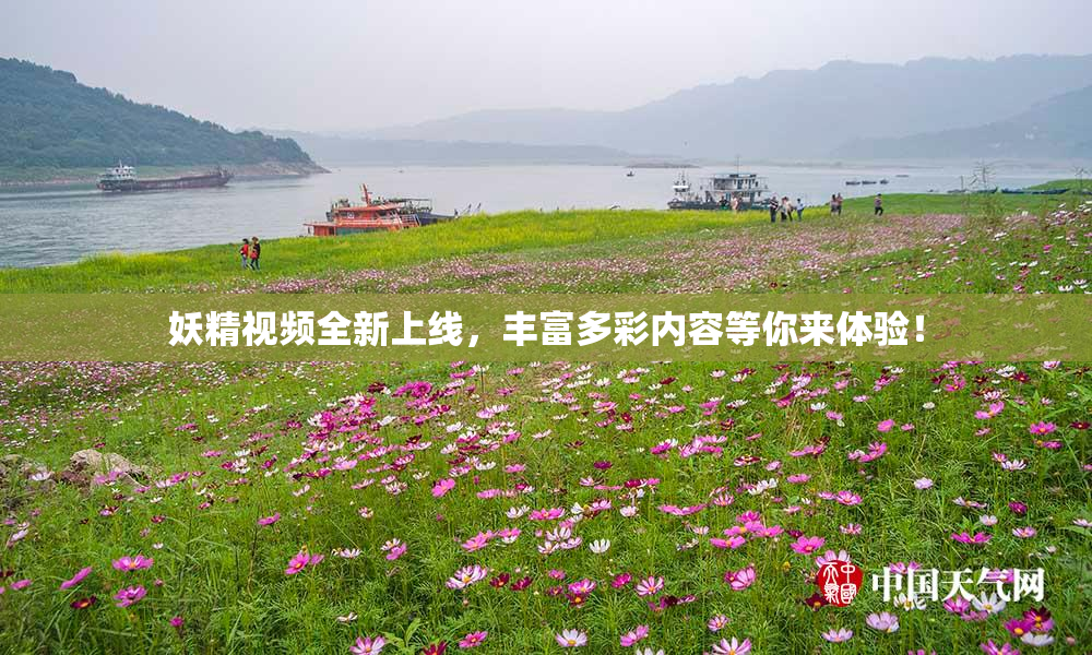 妖精视频全新上线，丰富多彩内容等你来体验！