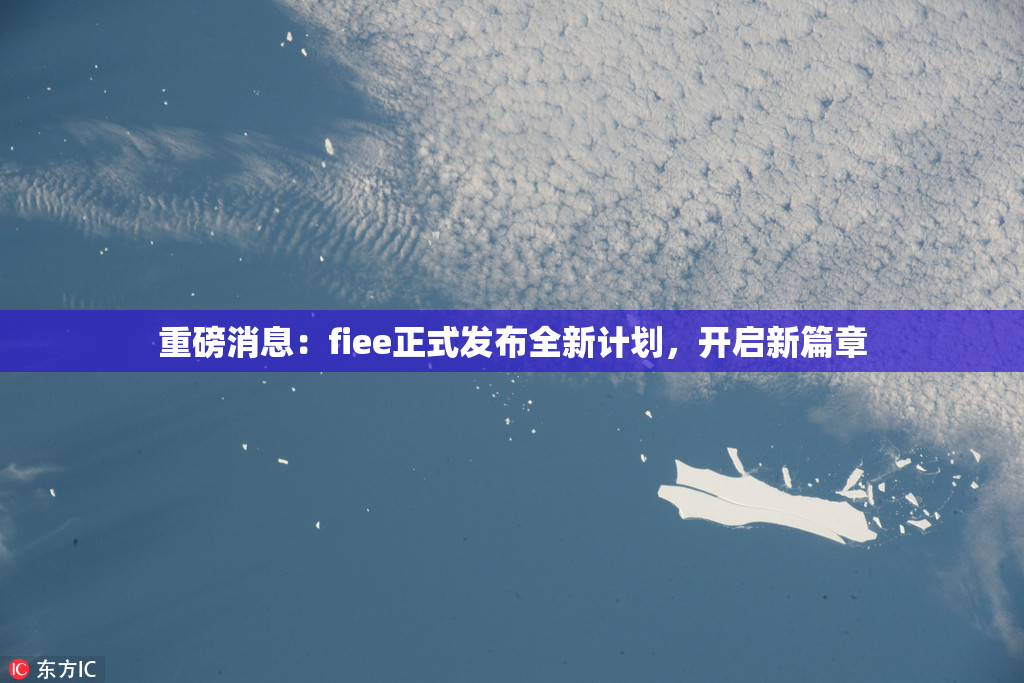 重磅消息：fiee正式发布全新计划，开启新篇章