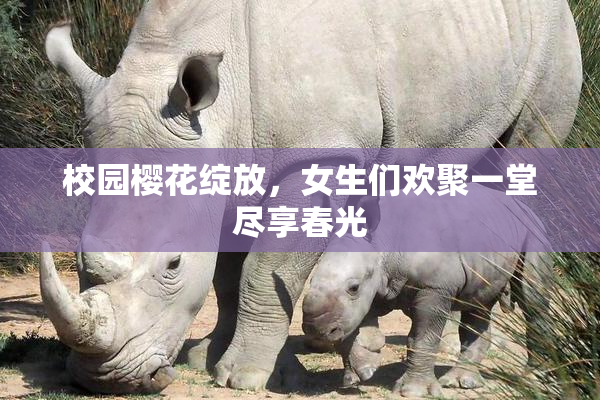 校园樱花绽放，女生们欢聚一堂尽享春光