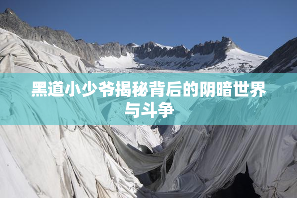 黑道小少爷揭秘背后的阴暗世界与斗争
