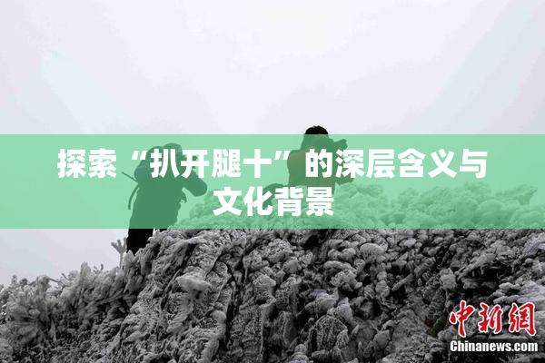 探索“扒开腿十”的深层含义与文化背景
