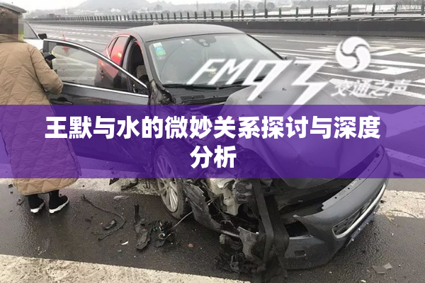 王默与水的微妙关系探讨与深度分析