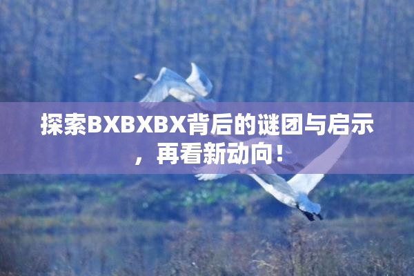 探索BXBXBX背后的谜团与启示，再看新动向！