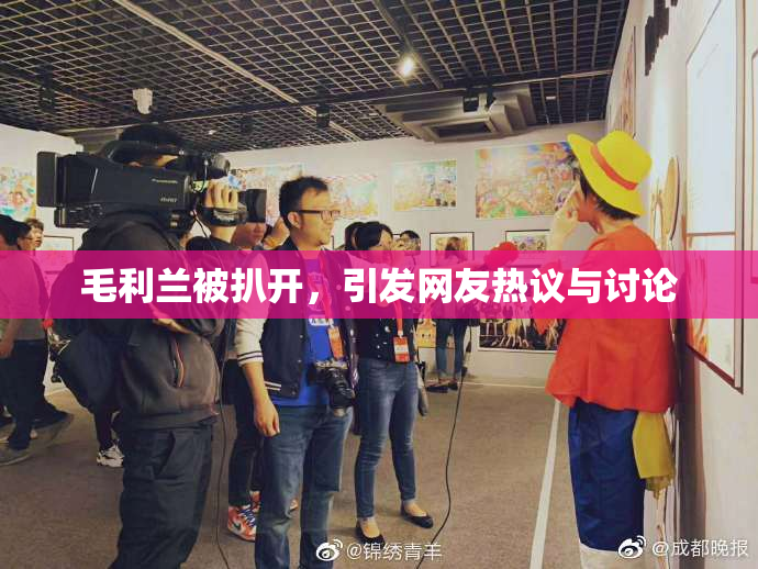 毛利兰被扒开，引发网友热议与讨论