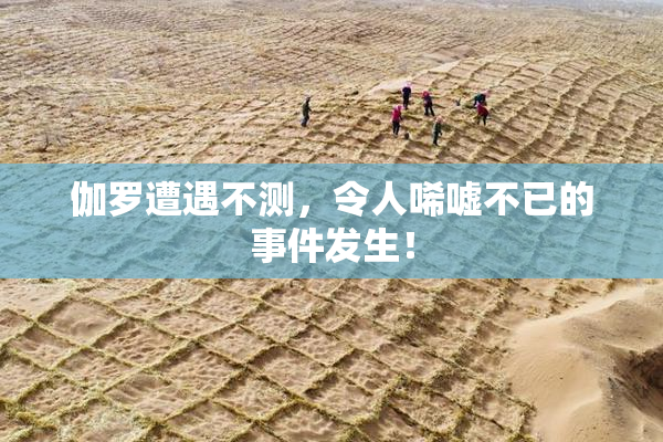 伽罗遭遇不测，令人唏嘘不已的事件发生！