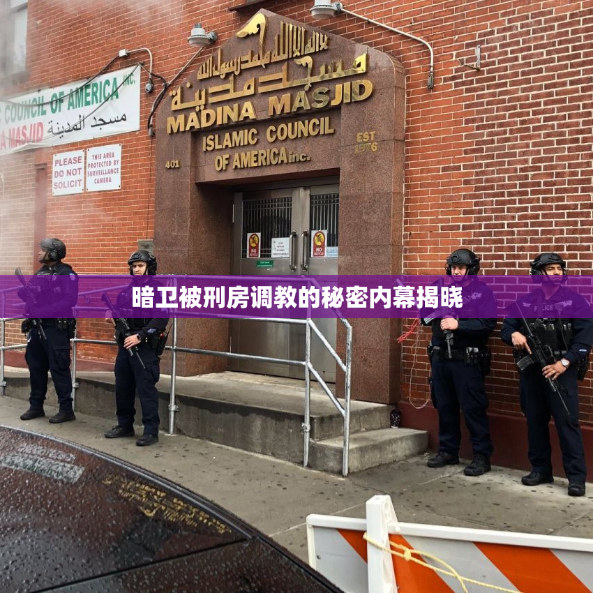 暗卫被刑房调教的秘密内幕揭晓