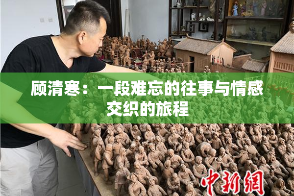 顾清寒：一段难忘的往事与情感交织的旅程