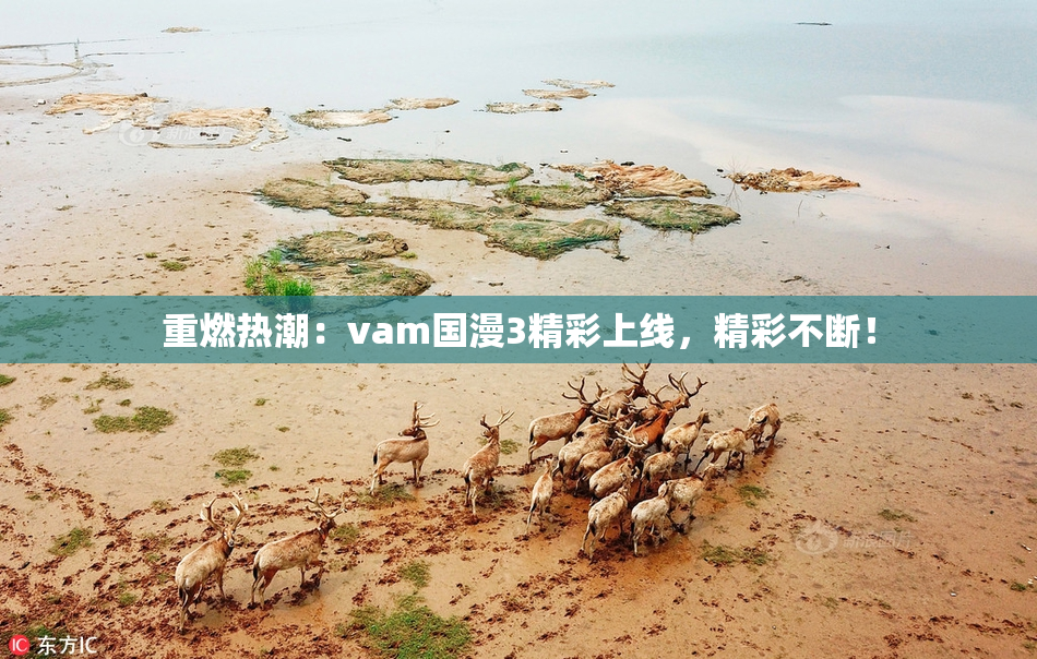 重燃热潮：vam国漫3精彩上线，精彩不断！