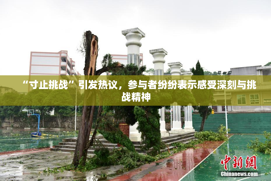 “寸止挑战”引发热议，参与者纷纷表示感受深刻与挑战精神