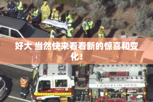 好大 当然快来看看新的惊喜和变化！