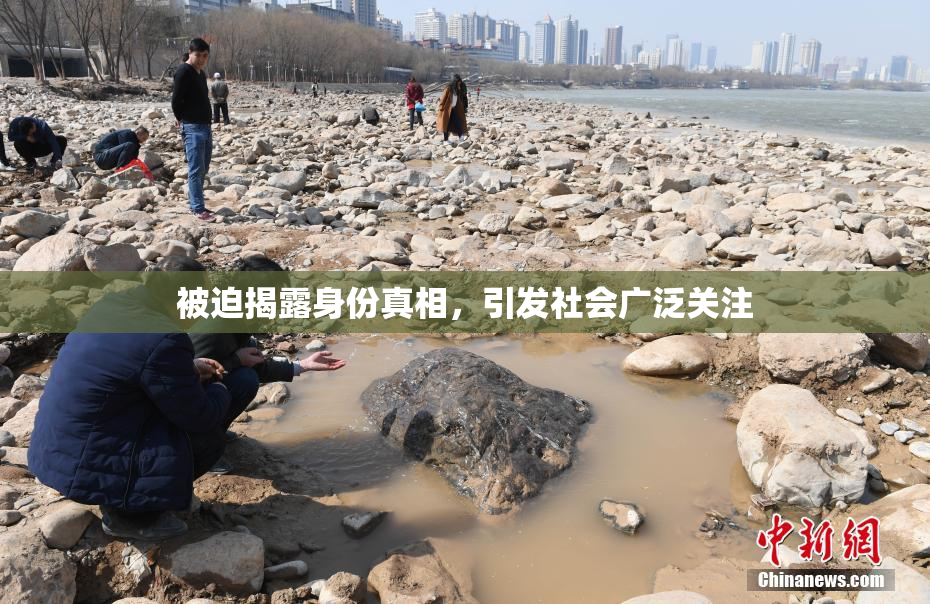 被迫揭露身份真相，引发社会广泛关注