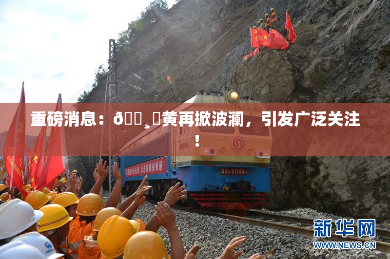 重磅消息：🌸‌黄再掀波澜，引发广泛关注！