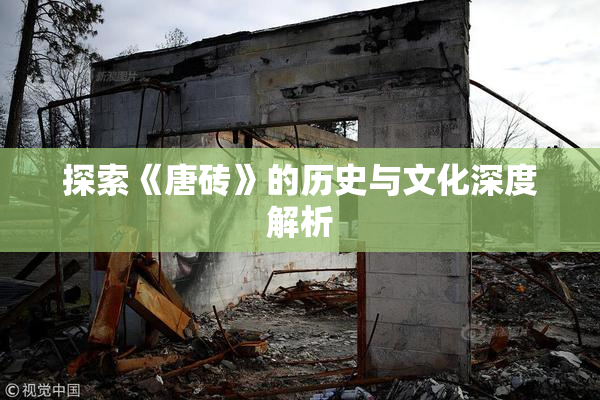 探索《唐砖》的历史与文化深度解析
