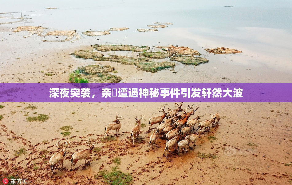 深夜突袭，亲妺遭遇神秘事件引发轩然大波