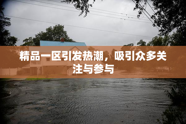 精品一区引发热潮，吸引众多关注与参与