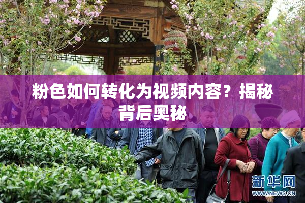 粉色如何转化为视频内容？揭秘背后奥秘