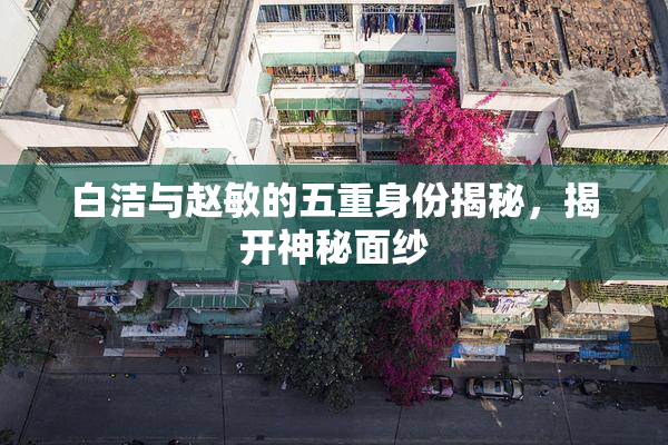 白洁与赵敏的五重身份揭秘，揭开神秘面纱