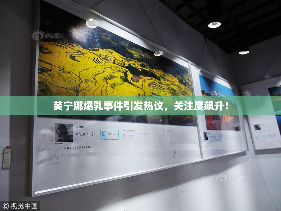 芙宁娜爆乳事件引发热议，关注度飙升！