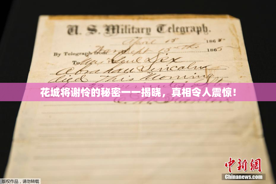 花城将谢怜的秘密一一揭晓，真相令人震惊！