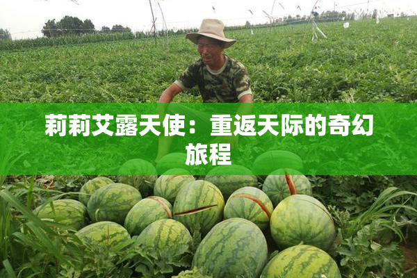 莉莉艾露天使：重返天际的奇幻旅程