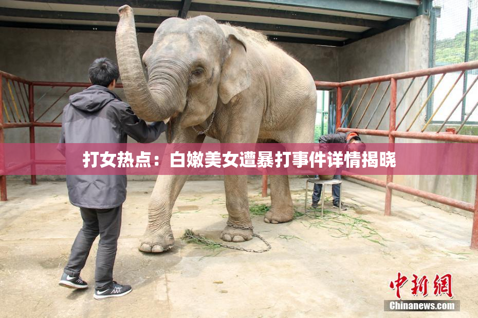 打女热点：白嫩美女遭暴打事件详情揭晓