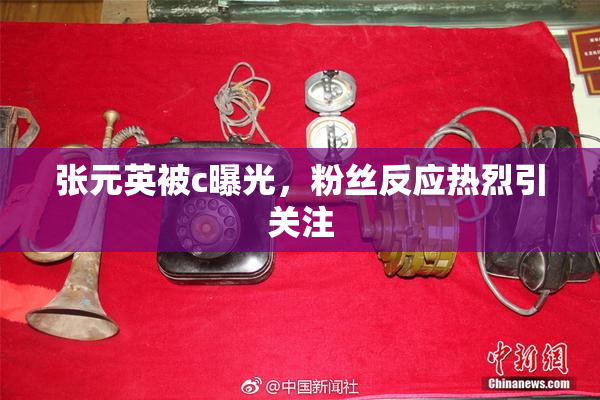 张元英被c曝光，粉丝反应热烈引关注
