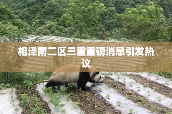 相泽南二区三重重磅消息引发热议