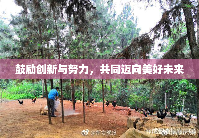 鼓励创新与努力，共同迈向美好未来