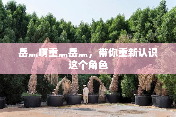 岳灬啊重灬岳灬，带你重新认识这个角色