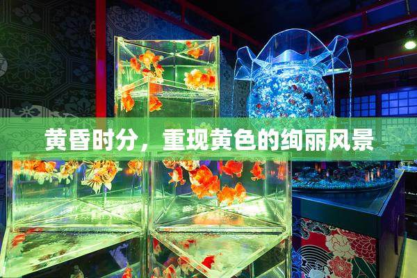 黄昏时分，重现黄色的绚丽风景