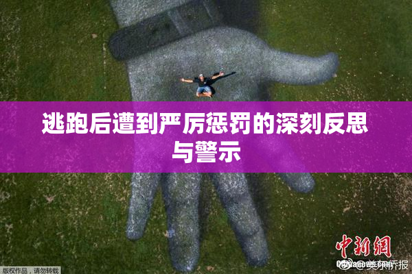 逃跑后遭到严厉惩罚的深刻反思与警示