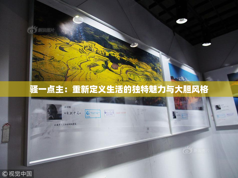 骚一点主：重新定义生活的独特魅力与大胆风格