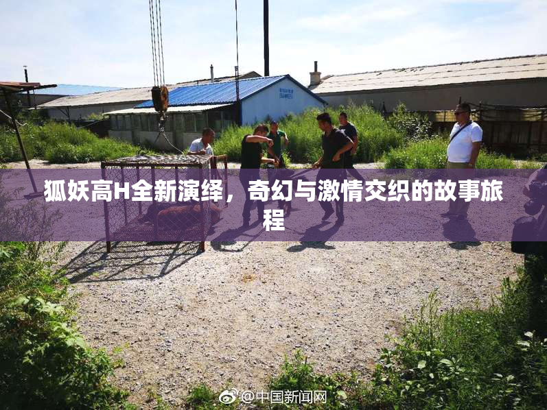 狐妖高H全新演绎，奇幻与激情交织的故事旅程