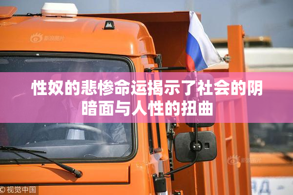 性奴的悲惨命运揭示了社会的阴暗面与人性的扭曲