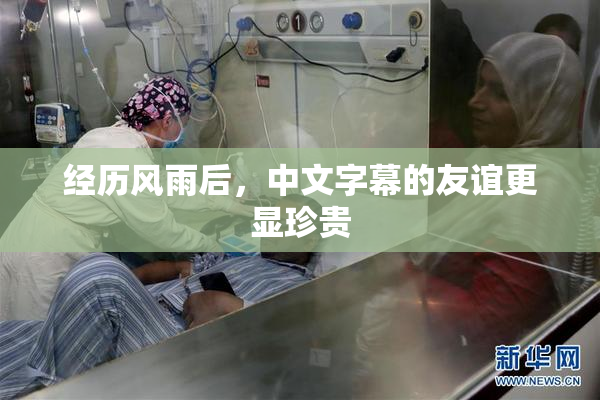 经历风雨后，中文字幕的友谊更显珍贵