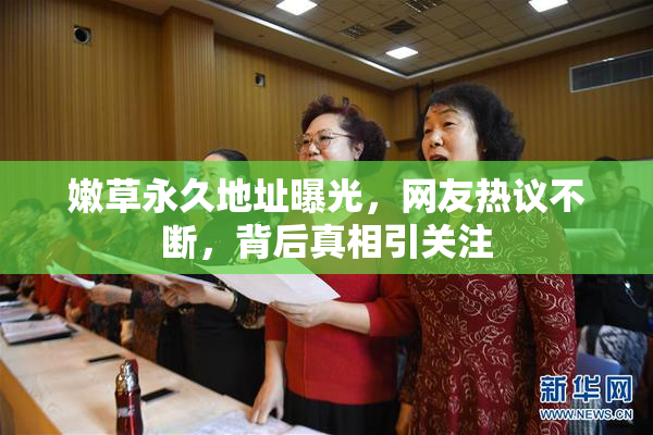 嫩草永久地址曝光，网友热议不断，背后真相引关注
